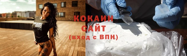гашик Алзамай