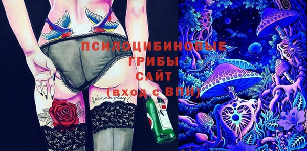 гашик Алзамай