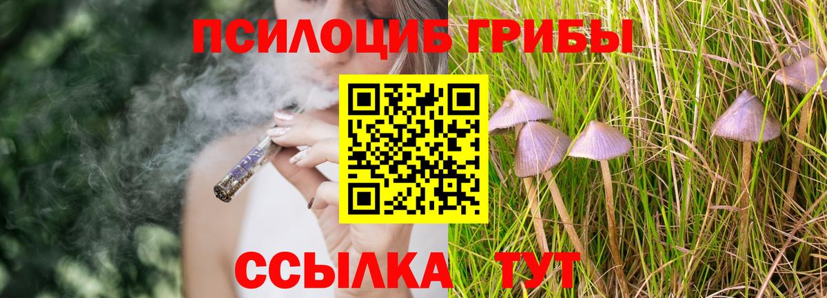 Галлюциногенные грибы Cubensis  Галлюциногенные грибы ЛСД  Ярославль  Вход с VPN 